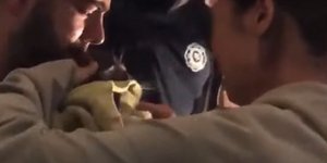 Η στιγμή της επανένωσης μιας γάτας που σώθηκε από τη φωτιά με τους ιδιοκτήτες της