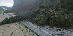 Ανεμοστρόβιλος προκάλεσε ζημιές και ξερίζωσε δέντρα
