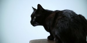 Τύχη και δεύτερη ευκαιρία πάνε μαζί;