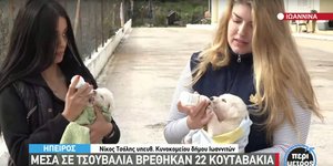 κουτάβι κοπέλες