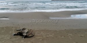 Μακάβριο θέαμα σε παραλία των Χανίων