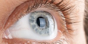 πράσινο μάτι κοντινό