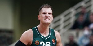 Ο Νεμάνια Νέντοβιτς