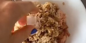 Πώς να χρησιμοποιήσετε ένα παγάκι για να ξαναζεστάνετε το ρύζι που περίσσεψε στο φούρνο μικροκυμάτων