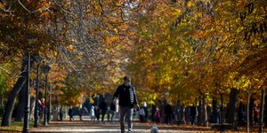 Πάρκο στην πρωτεύουσα της Ισπανίας, Μαδρίτη