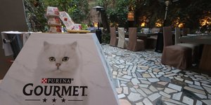 Purina® GOURMET™ Revelations