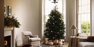 σαλόνι με χριστουγεννιάτικο δέντρο