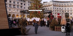 αριστοτελους δεντρο