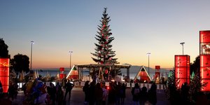 δεντρο θεα θερμαικος 