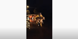 Δύσκολες ώρες περνά η Αχαΐα λόγω της σφοδρής κακοκαιρίας