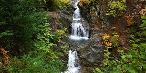 Οι καταρράκτες Μπουλουβάρου και η Μηλιά με τη συγκινητική ιστορία της βαλσαμωμένης αρκούδας