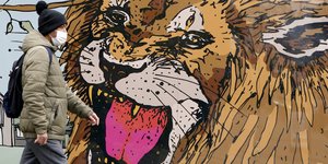 Στιγμιότυπο από την Ολλανδία, την εποχή του κορωνοϊού