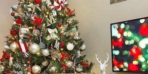 Οι τάσεις στον στολισμό του χριστουγεννιάτικου δέντρου φέτος