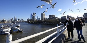 γεφυρα γλαροι θαλασσα