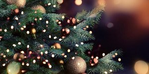 Χριστουγεννιάτικο δέντρο