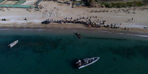 Κόσμος στον Αλιμο για να δουν τη μικρή φάλαινα