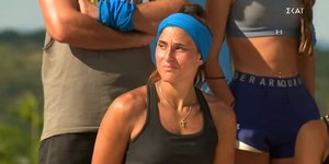 H Ασημίνα της Μπλε Ομάδας