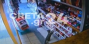 Γάτα μπαίνει σε περίπτερο στο Ηράκλειο Κρήτης και «βουτάει» σάντουιτς