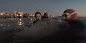 Συγκινεί εθελόντρια που τραγουδά στην τραυματισμένη φάλαινα