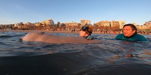 Οι ώρες αγωνίας από την διάσωση της μικρής φάλαινας 