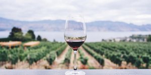 Ποτήρι με κόκκινο κρασί