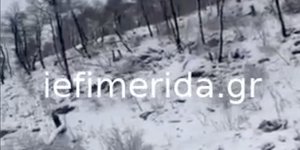 Επεσαν τα πρώτα χιόνια στην Ιπποκράτειο Πολιτεία