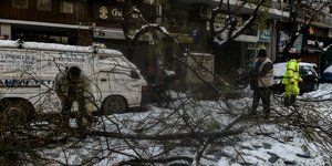 κακοκαιρία Ελπίδα, πεσμένα δέντρα