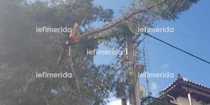 Κομμένα καλώδια ρεύματος στον Άγιο Δημήτριο