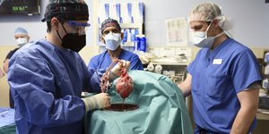 μεταμόσχευση καρδιάς από γενετικά τροποποιημένο χοίρο σε άνθρωπο