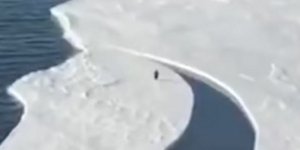 πιγκουίνος διασχίζει πάγο που σπάει