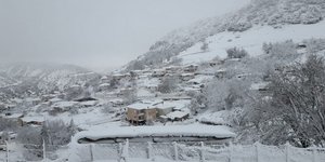 pilio