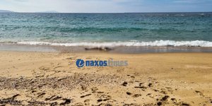 Πιθανότατα πρόκειται για σορούς μεταναστών που πνίγηκαν σε πρόσφατο ναυάγιο