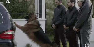 Σασμός: Ο Πετρής έκανε μια αποκάλυψη για την Μανταρίνα που κανείς δεν περίμενε