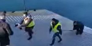 Το πλήρωμα του φέρι μποτ «Ελευθέριος» έκανε αυτό που έπρεπε και το σκυλί διασώθηκε