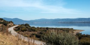 Βολβη στροφη