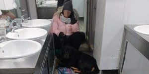 Απίστευτη περιπέτεια για την κοπέλα που ταξίδεψε στην τουαλέτα λόγω του... σκύλου