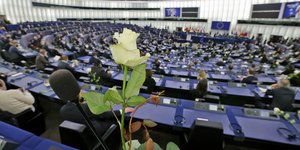 Ευρωπαϊκο Κοινοβούλιο τριανταφυλλο