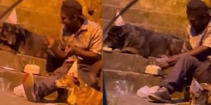 Αστεγος γίνεται viral για τα γενέθλια του σκύλου του