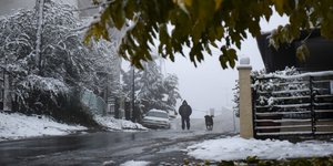 χιονι αντρας σκυλος