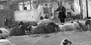 Μια εικόαν της παλιας Αγηνας