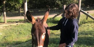 Ο 12χρονος επίδοξος πιανίστας που βρήκε τραγικό θάνατο