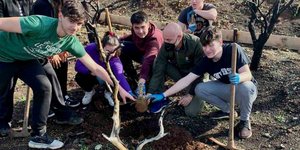 αναδάσωση στη βόρεια εύβοια