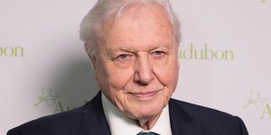  Ντέιβιντ Ατένμπορο