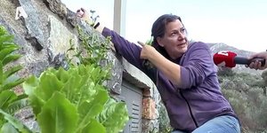 Η Δήμητρα Σωτηριάδου στο βουνό