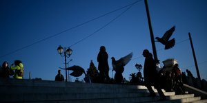 Περιστέρια στα σκαλιά της πλατείας Συντάγματος