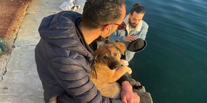 Ένας νεαρός δεν το σκέφτηκε στιγμή και βούτηξε στον Θερμαϊκό για να σώσει το σκυλί