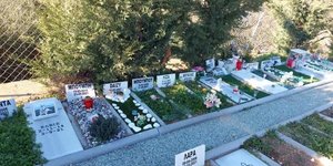 Νεκροταφείο ζώων στη Θεσσαλονικη
