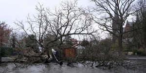 Δέντρα έπεσαν σε δρόμους της Ολλανδίας