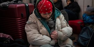 Τα κατοικίδια στην Ουκρανία 