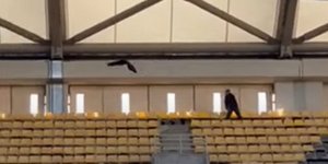 Συνεχίζονται οι δοκιμαστικές πτήσεις του αετού που θα πετά πάνω από το νέο γήπεδο της ΑΕΚ